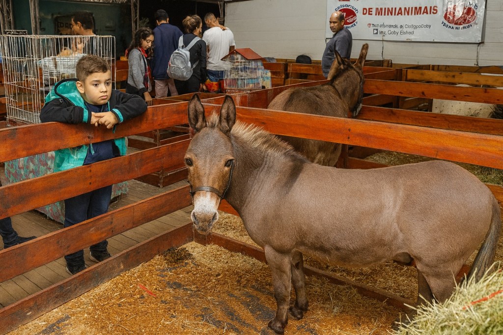 Expocapixaba 2025 movimenta Serra-ES a partir de amanhã&nbsp;(21)