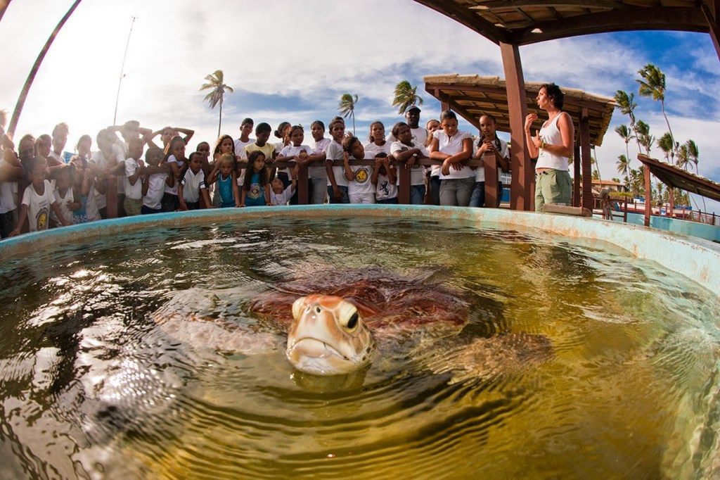 Turismo capixaba oferece roteiros encantadores para o Dia das&nbsp;Crianças