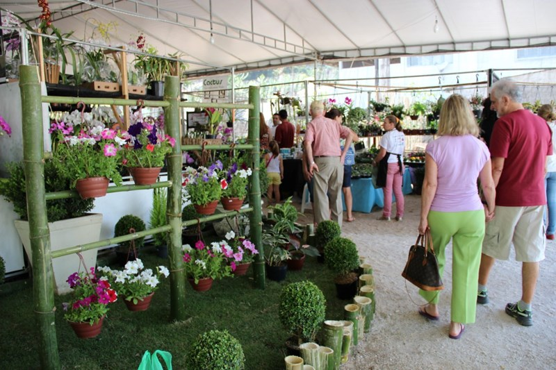 Festa das Flores colore Domingos Martins neste fim de semana