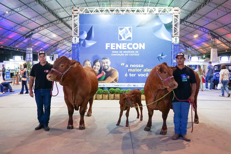 Conceição do Castelo recebe maior edição da FENECON em&nbsp;2025