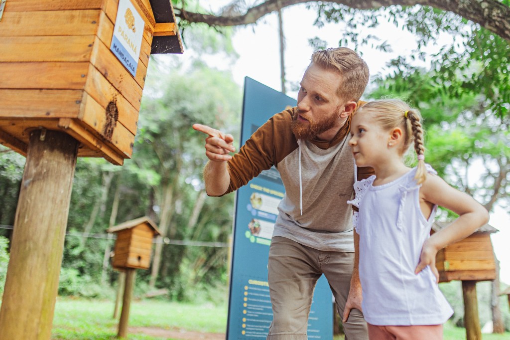 Parque de Vila Velha estreia observação de pássaros em Ponta Grossa