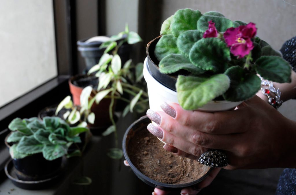 Infectologista da Unimed Sul Capixaba orienta prevenção contra dengue em&nbsp;casa