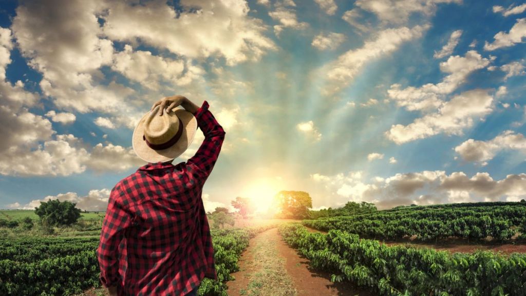 Crédito rural à agricultura familiar capixaba supera R$ 1,9&nbsp;bilhão