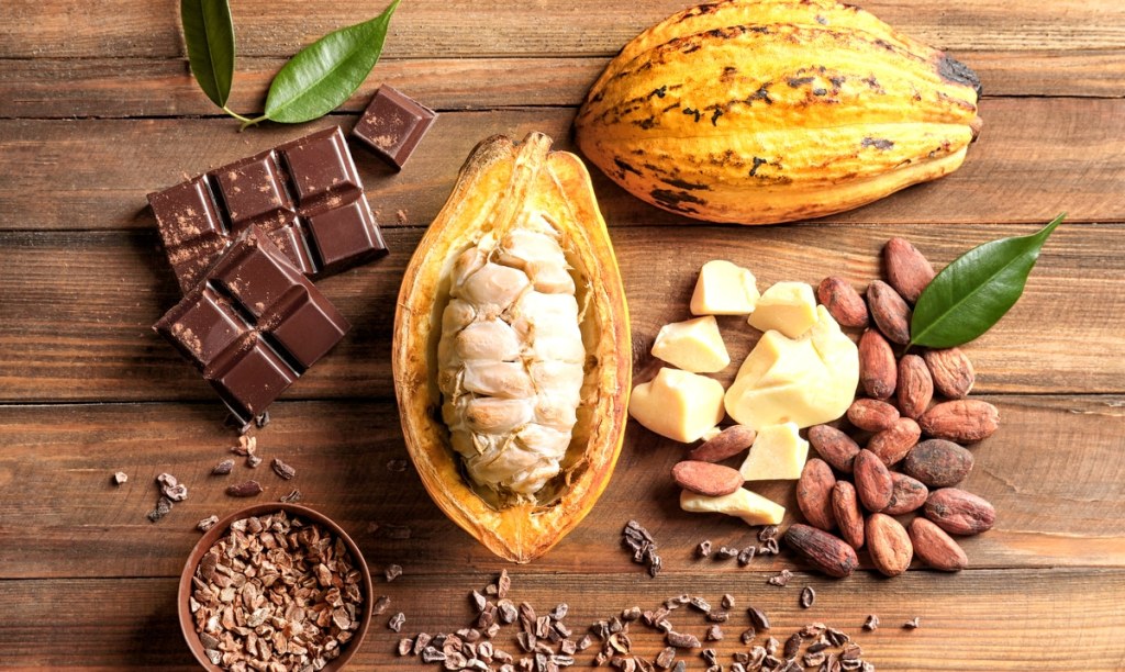 Dia Nacional do Cacau: Espírito Santo é o terceiro maior produtor do&nbsp;Brasil