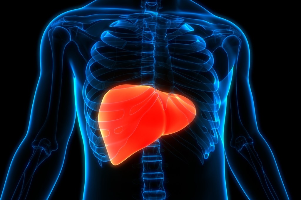Hepatologista explica como medicamento popular afeta saúde do&nbsp;fígado