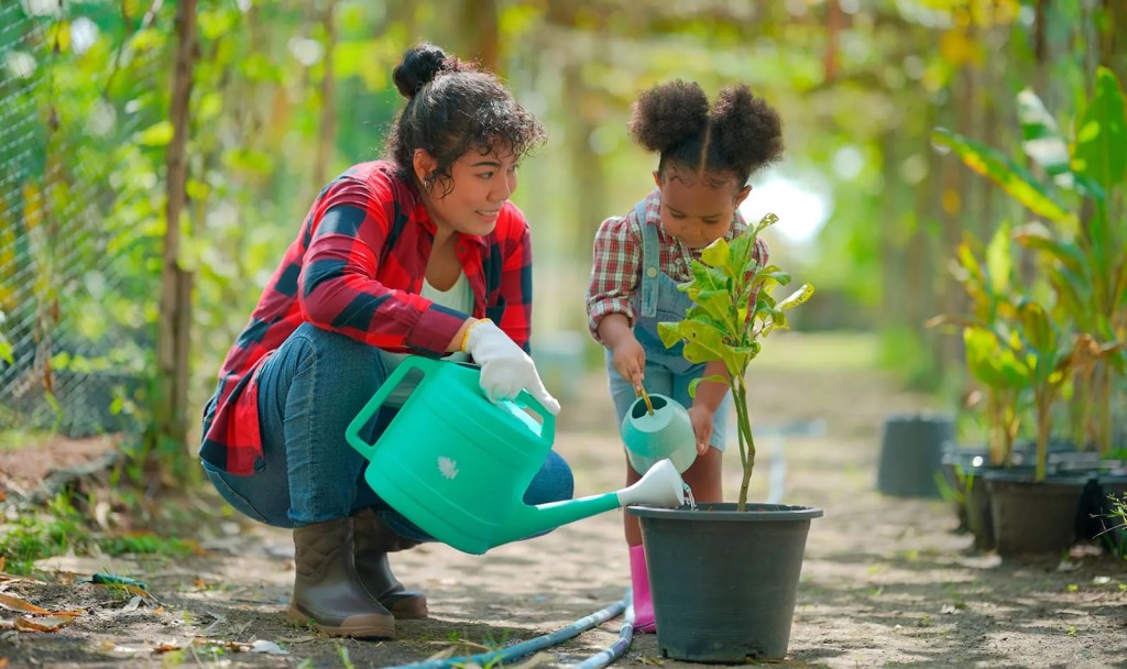Projeto melhora bem-estar de crianças acolhidas em&nbsp;Cachoeiro