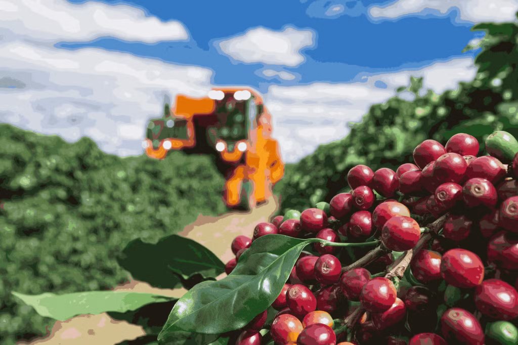Exportações do agronegócio capixaba somam R$ 4,6 bilhões de janeiro a abril de 2026