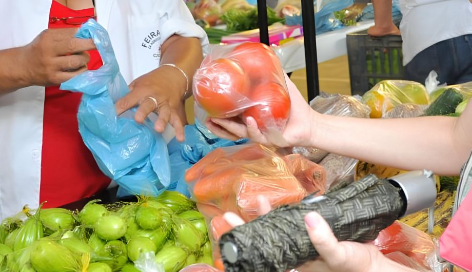 Feiras fortalecem agricultura familiar em Cachoeiro