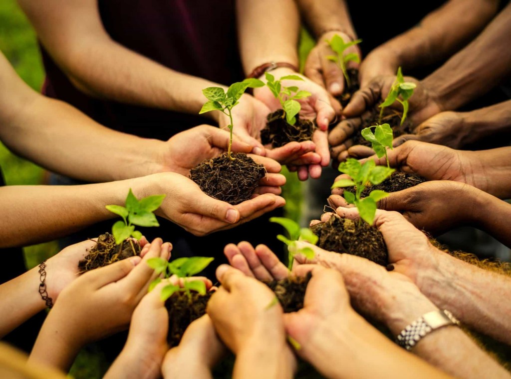Feira Verde 2026 reúne sustentabilidade e educação ambiental em&nbsp;Cachoeiro
