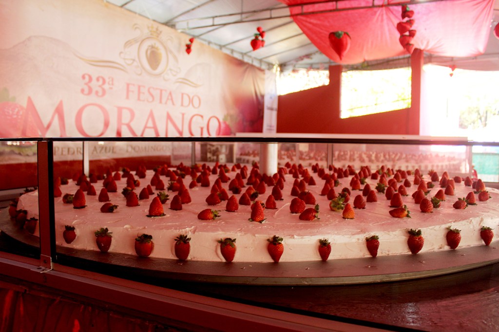 Pedra Azul produz morangos para tortas gigantes na festa