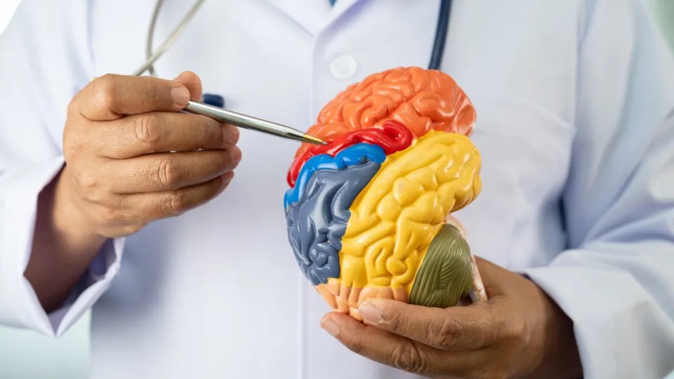 Hábitos que podem prejudicar seu cérebro e acelerar o declínio&nbsp;cognitivo